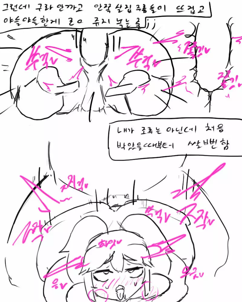 chimera53 Page.528