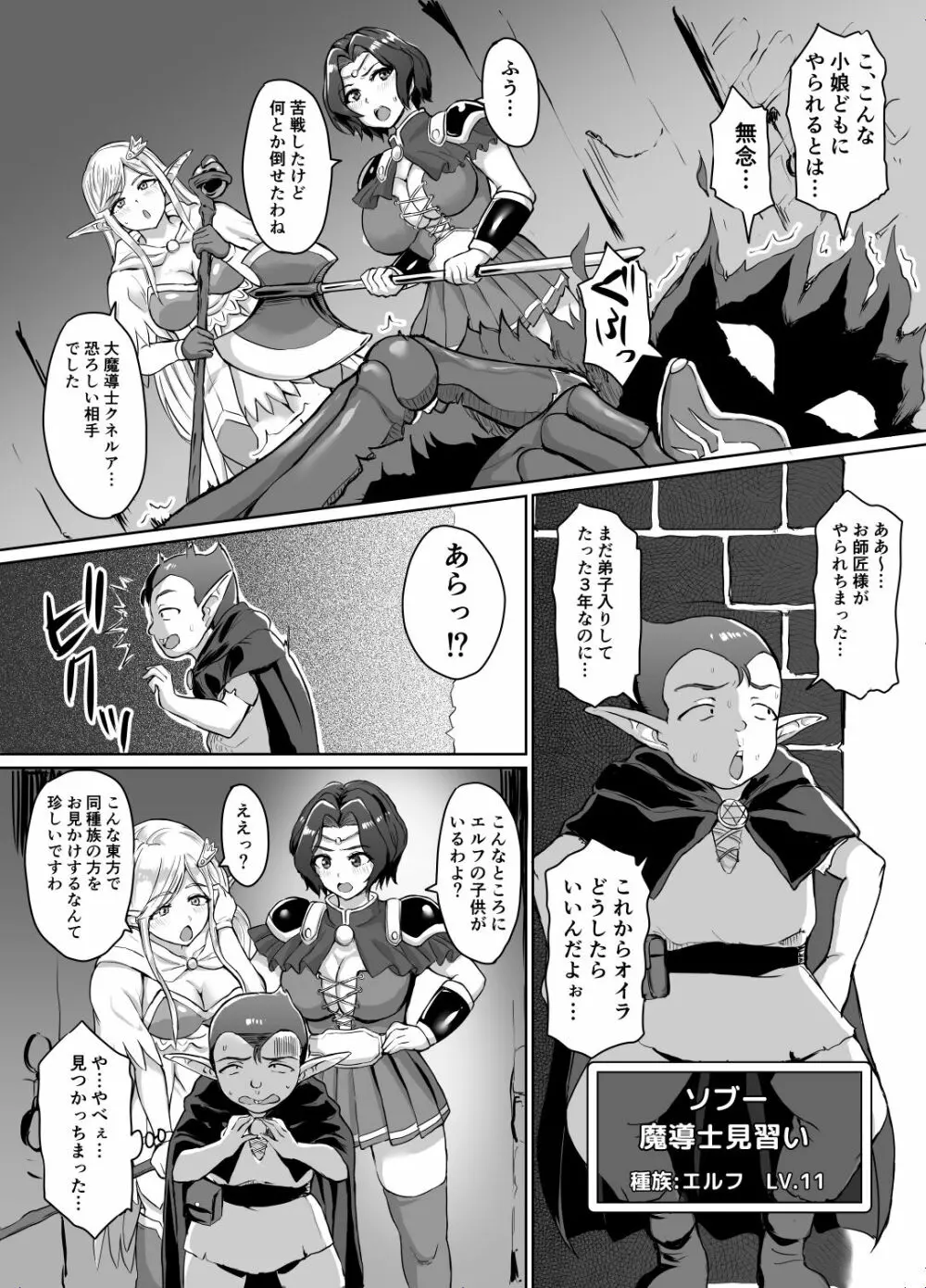 スケベエルフと冒険者ギルド ～大魔導士討伐編～ Page.3