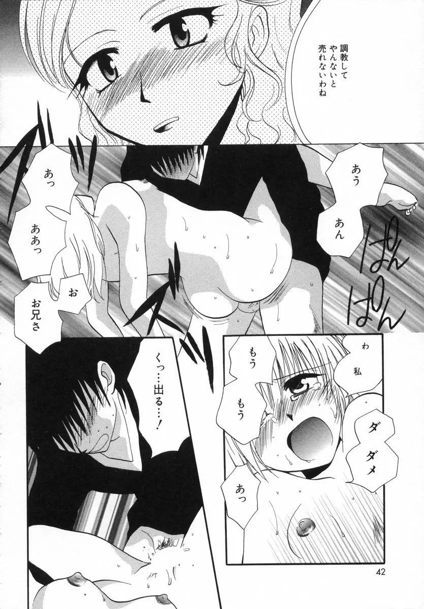 オトナシロップ Page.41