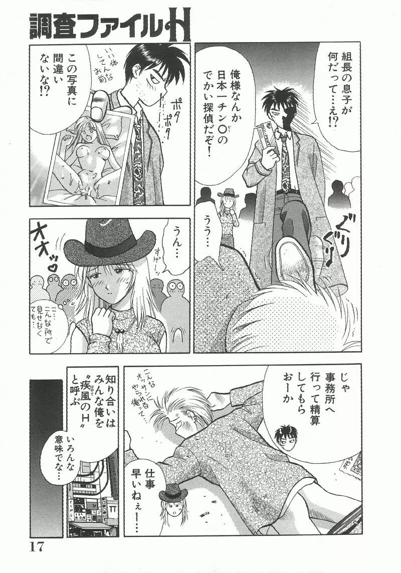 調査ファイルH Page.17