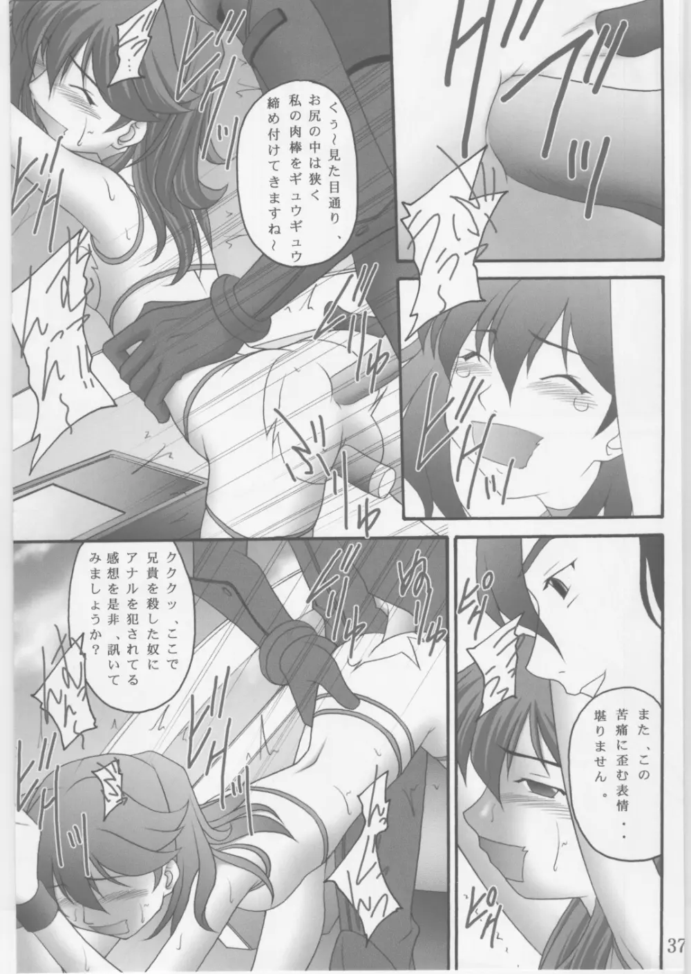 緊縛凌辱Ⅱ ヨウシャネーナ Page.36