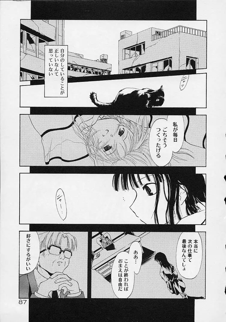 猫飯 ねこまんま Page.86