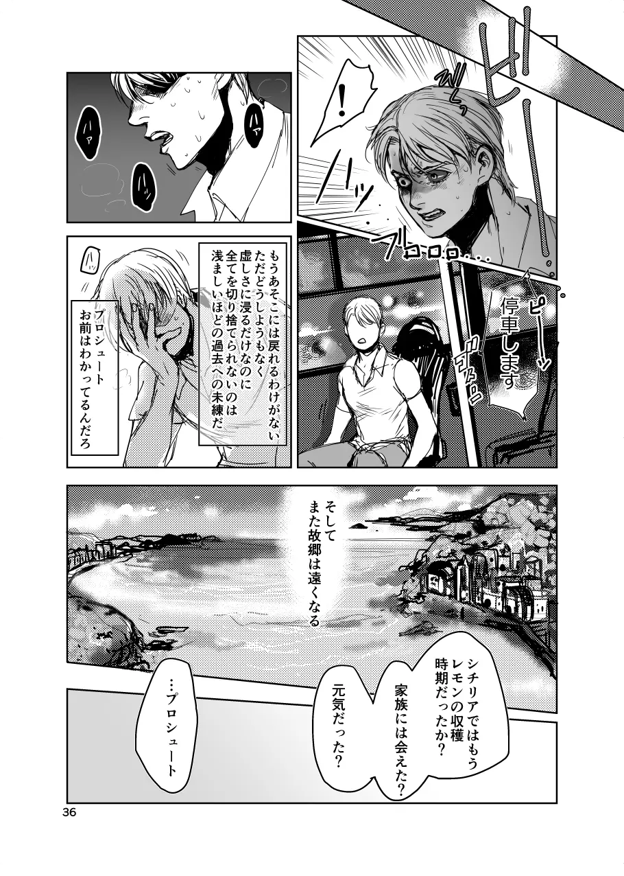 フィオレ Page.35