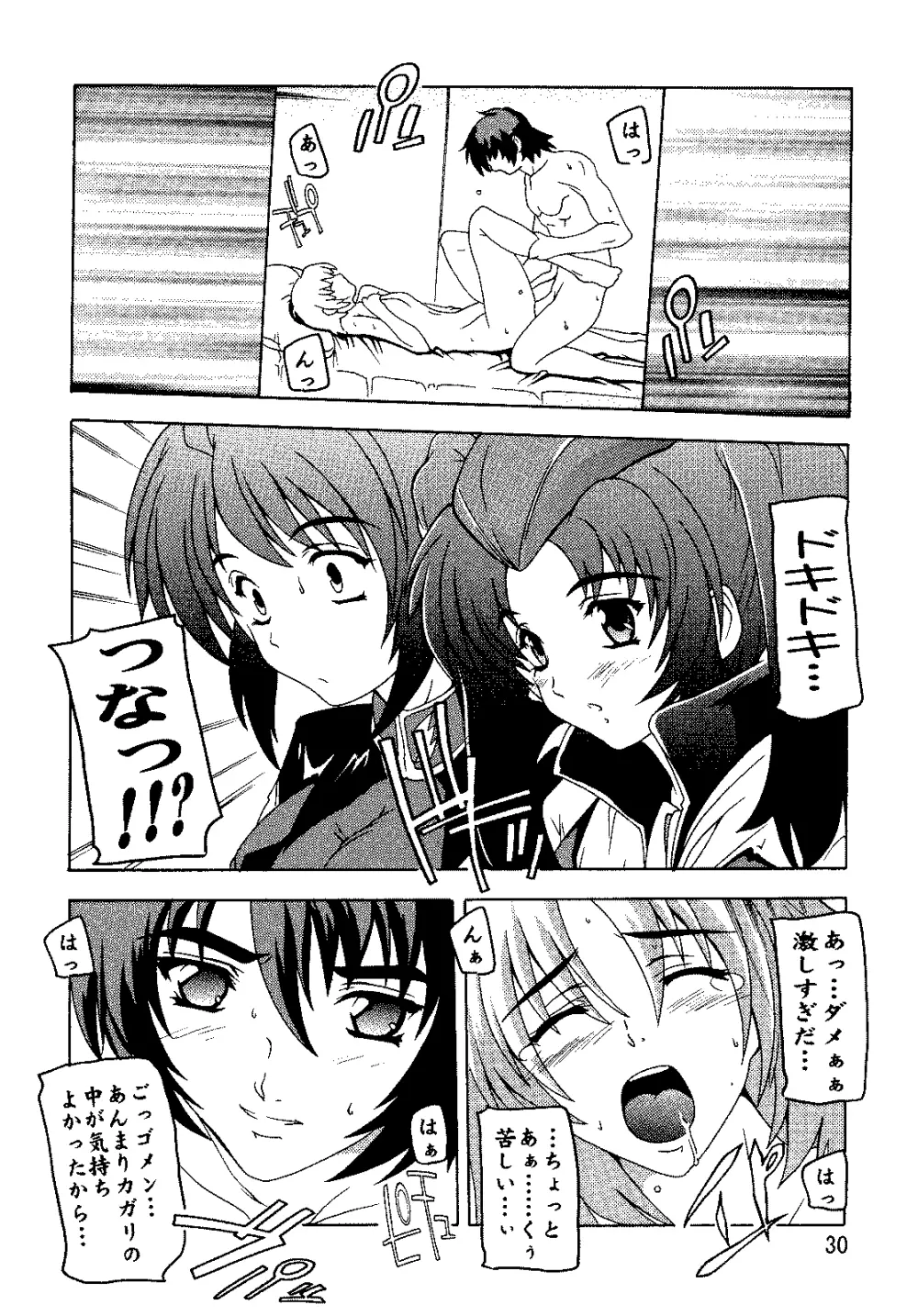 SEED総集編 Page.29