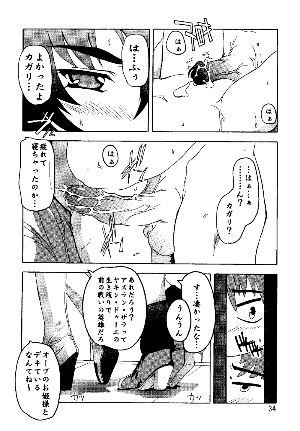 SEED総集編 Page.33