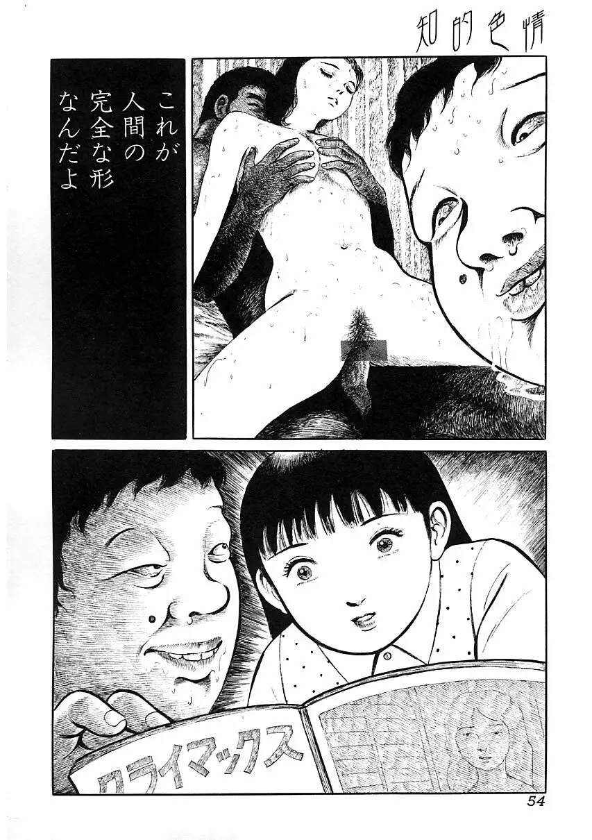 知的色情 vol.3 Page.53