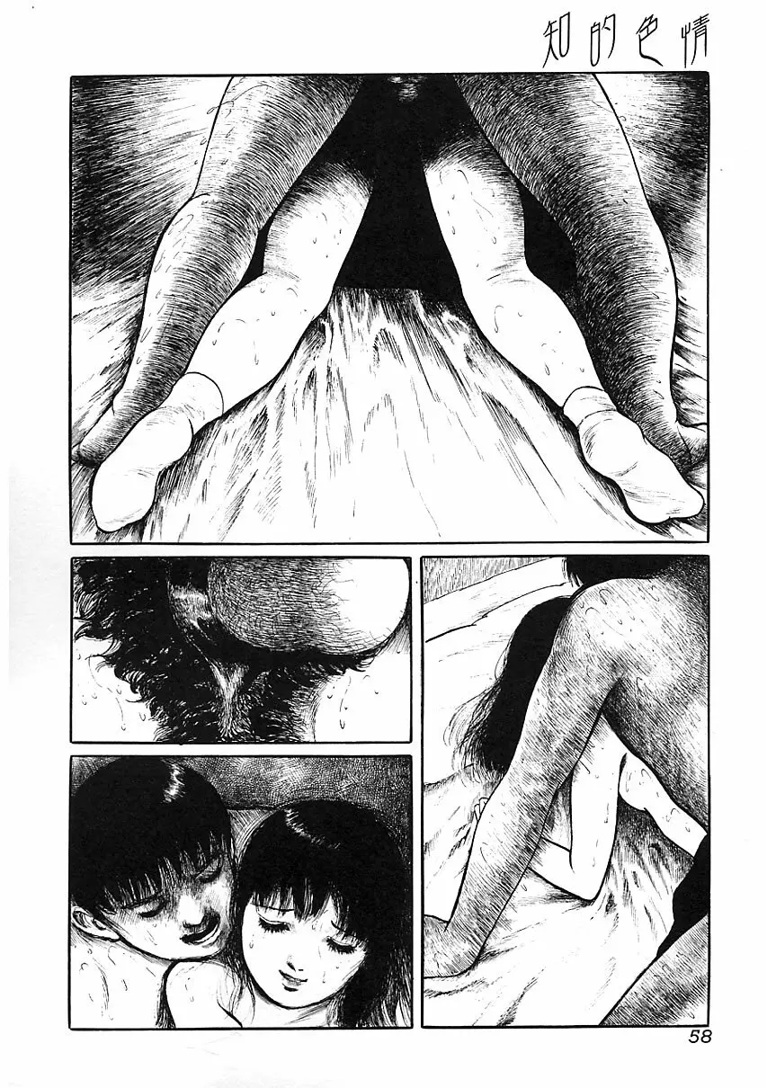 知的色情 vol.3 Page.57