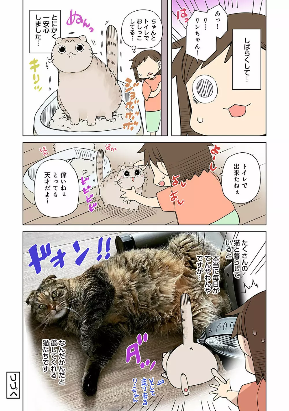 アナンガ・ランガ Vol. 87 Page.254