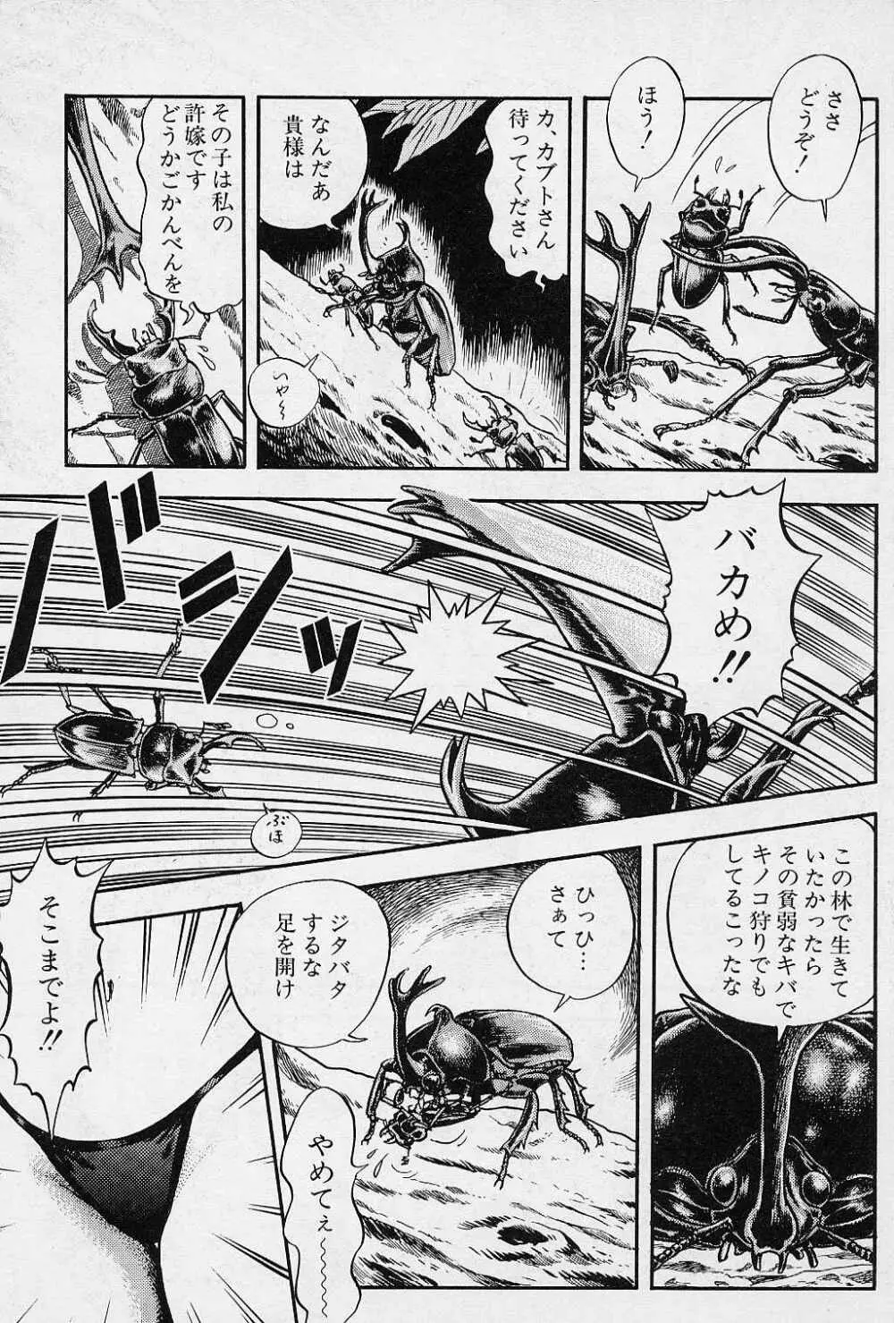 フェアリーフェティッシュ Page.29