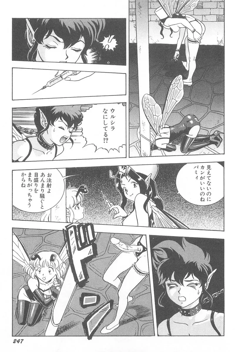 フェアリー・クリニック Page.249