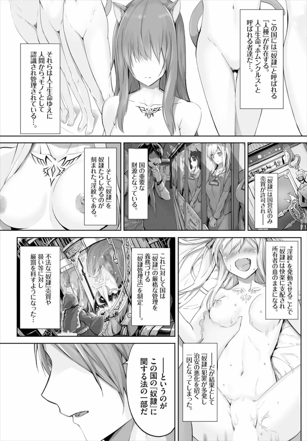 愚か者は猫耳奴隷に依存する～初めての調教生活～ 01-17 Page.2