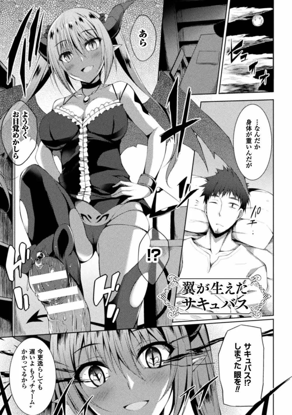 浸触ミステリイサークル Page.133