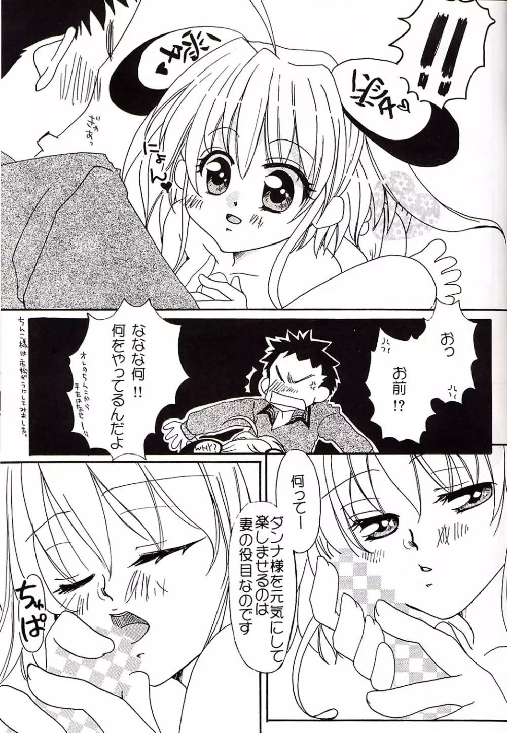 メロウプリティ Page.14