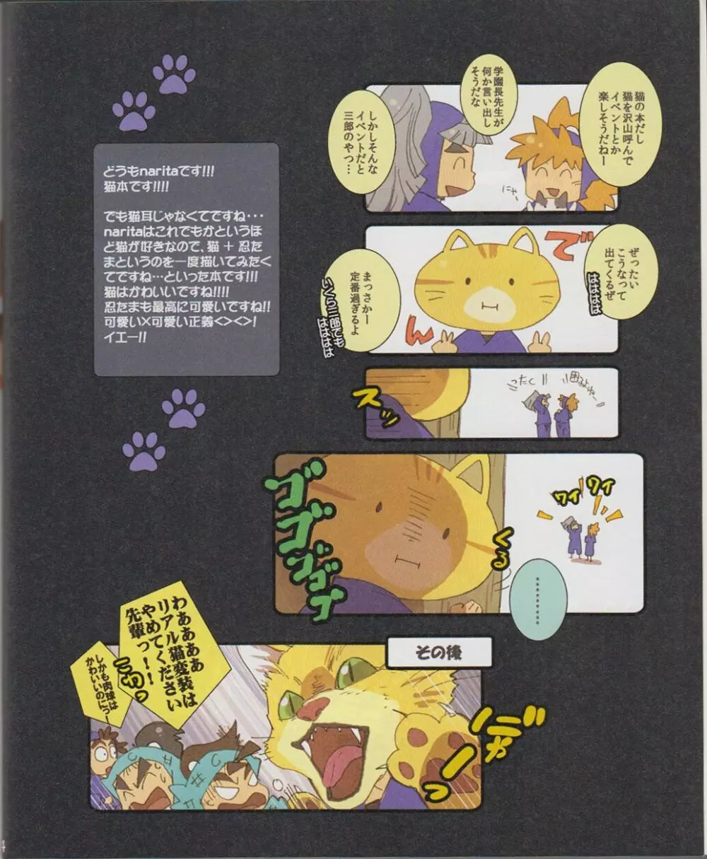 <<落第忍者乱太郎>> ねこがきた!の段 （オールキャラ） / NRT Page.3