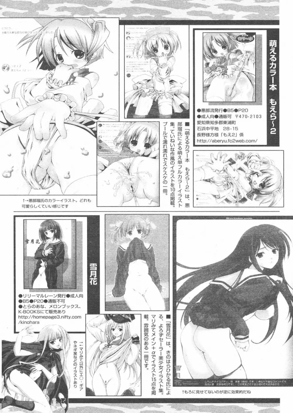 COMIC パピポ 2005年02月号 Page.244