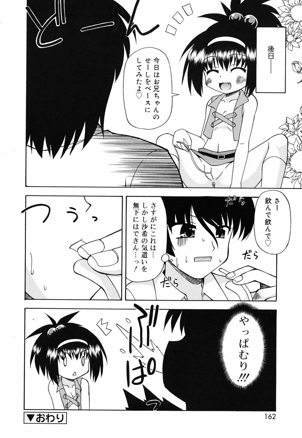 合法的みにさいず Page.163