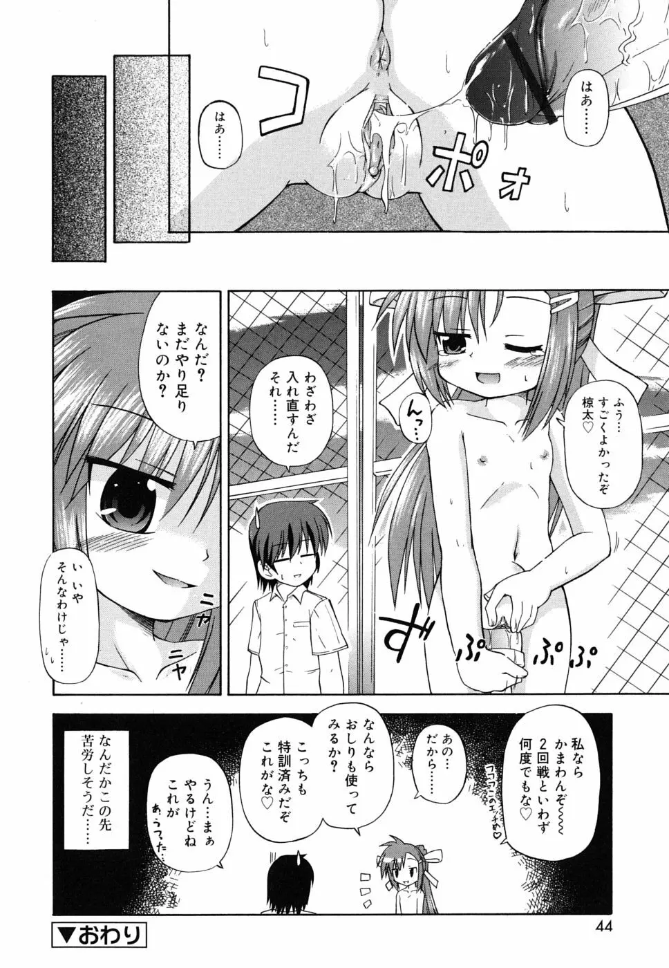 合法的みにさいず Page.45