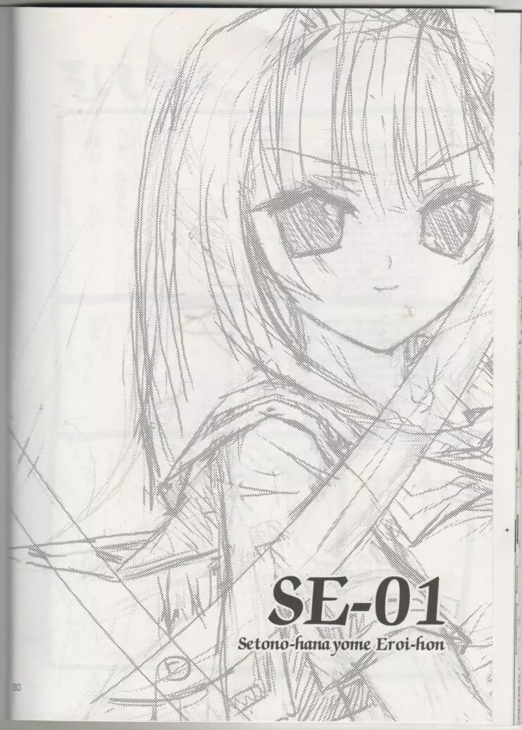 SE-01 Page.29