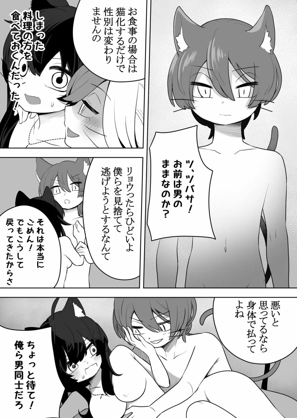 猫岳の怪 Page.27