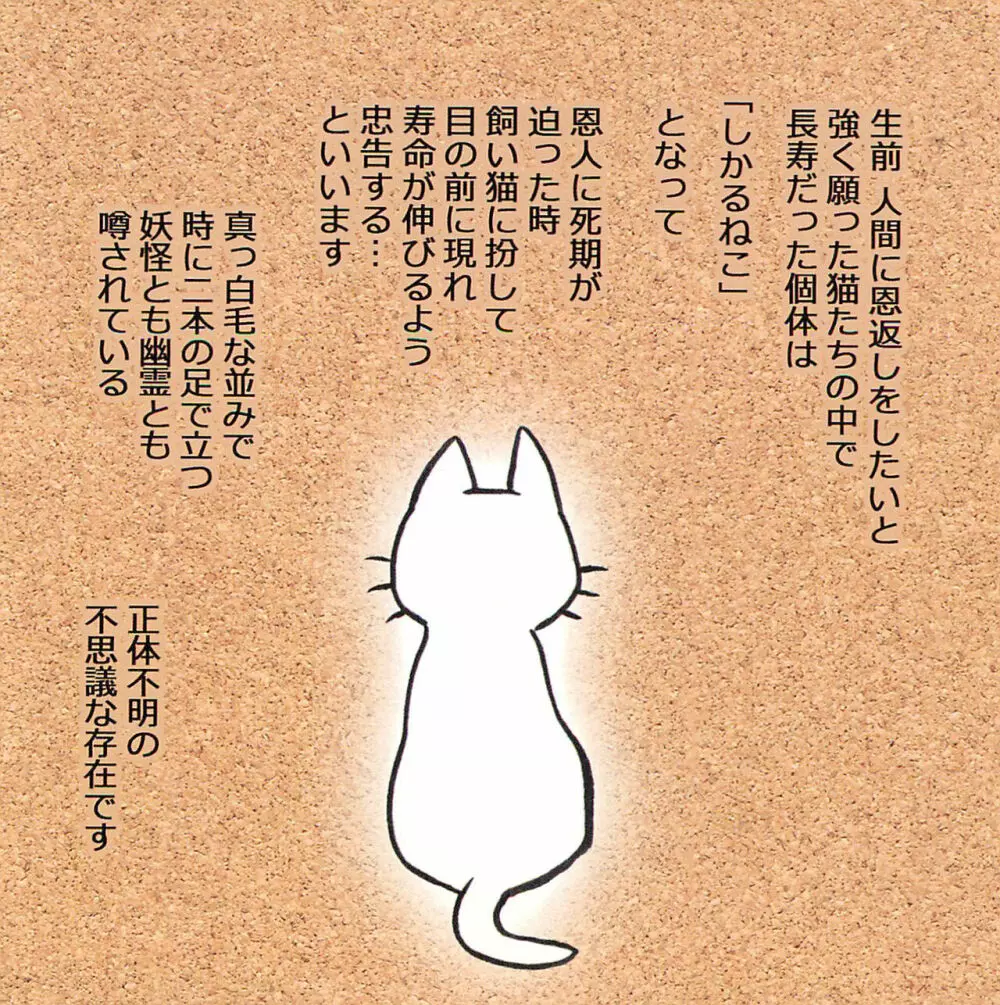 飼い主のテクが凄すぎてしかることができないえっちなねこさん Page.10