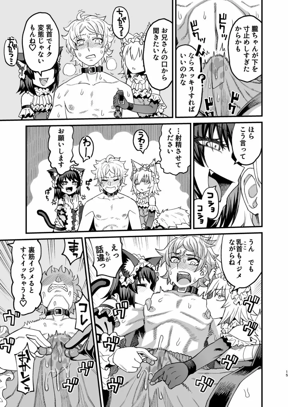 双子堕とし~アナタをマゾにしてあげる~ Page.14