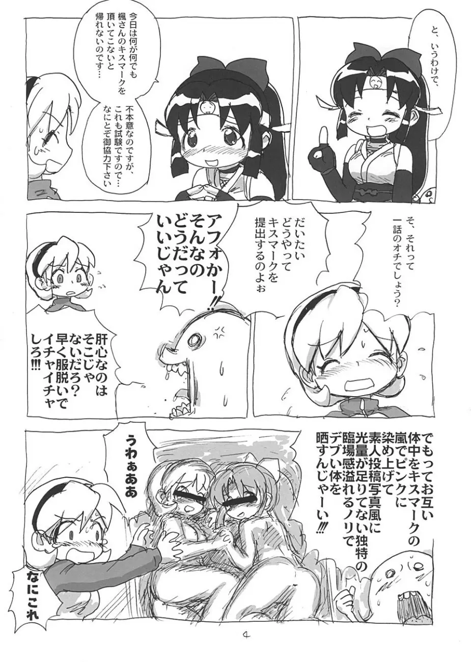 しのぶぶくろ Page.3