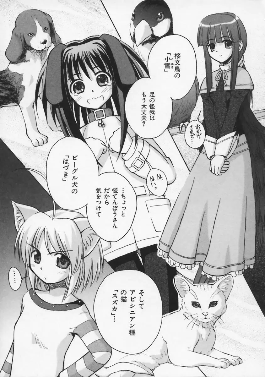 またネコっ! Page.28