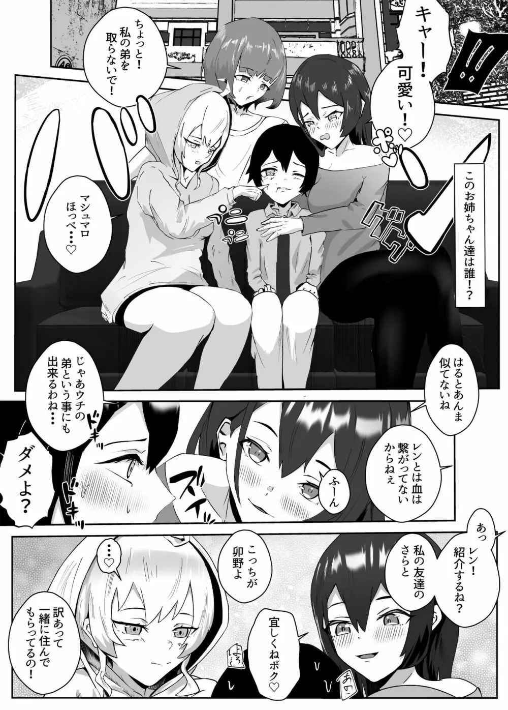 姉宅ハーレム_お姉ちゃんに会いに来ただけなのに・・・ Page.4