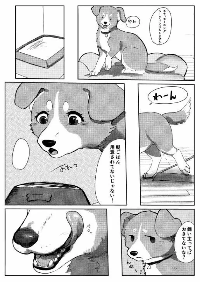 わんだふる!1 Page.3