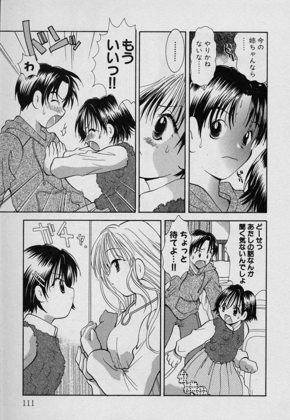 フルーツMIX Page.116