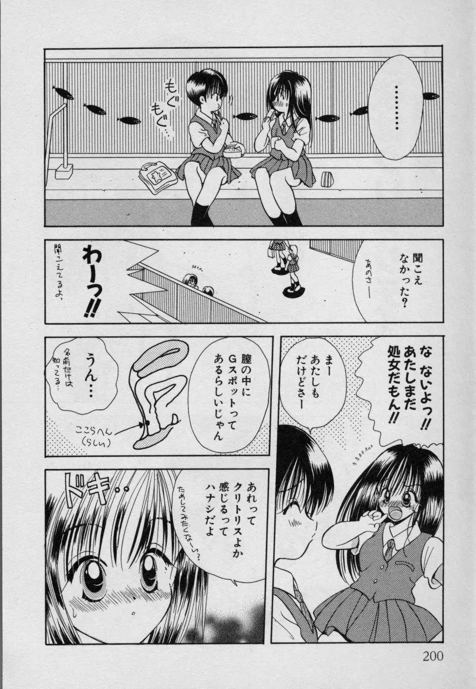 フルーツMIX Page.205