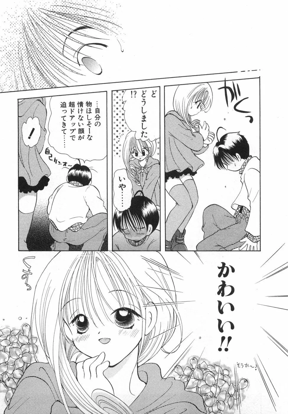 オレンジ色の花 Page.15