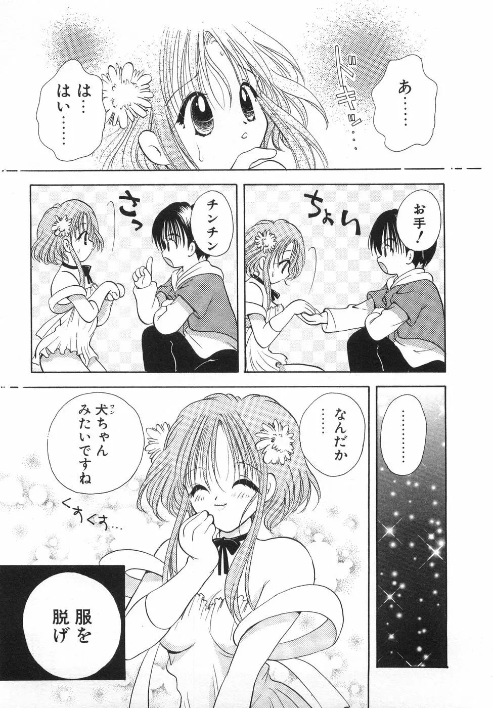 オレンジ色の花 Page.161