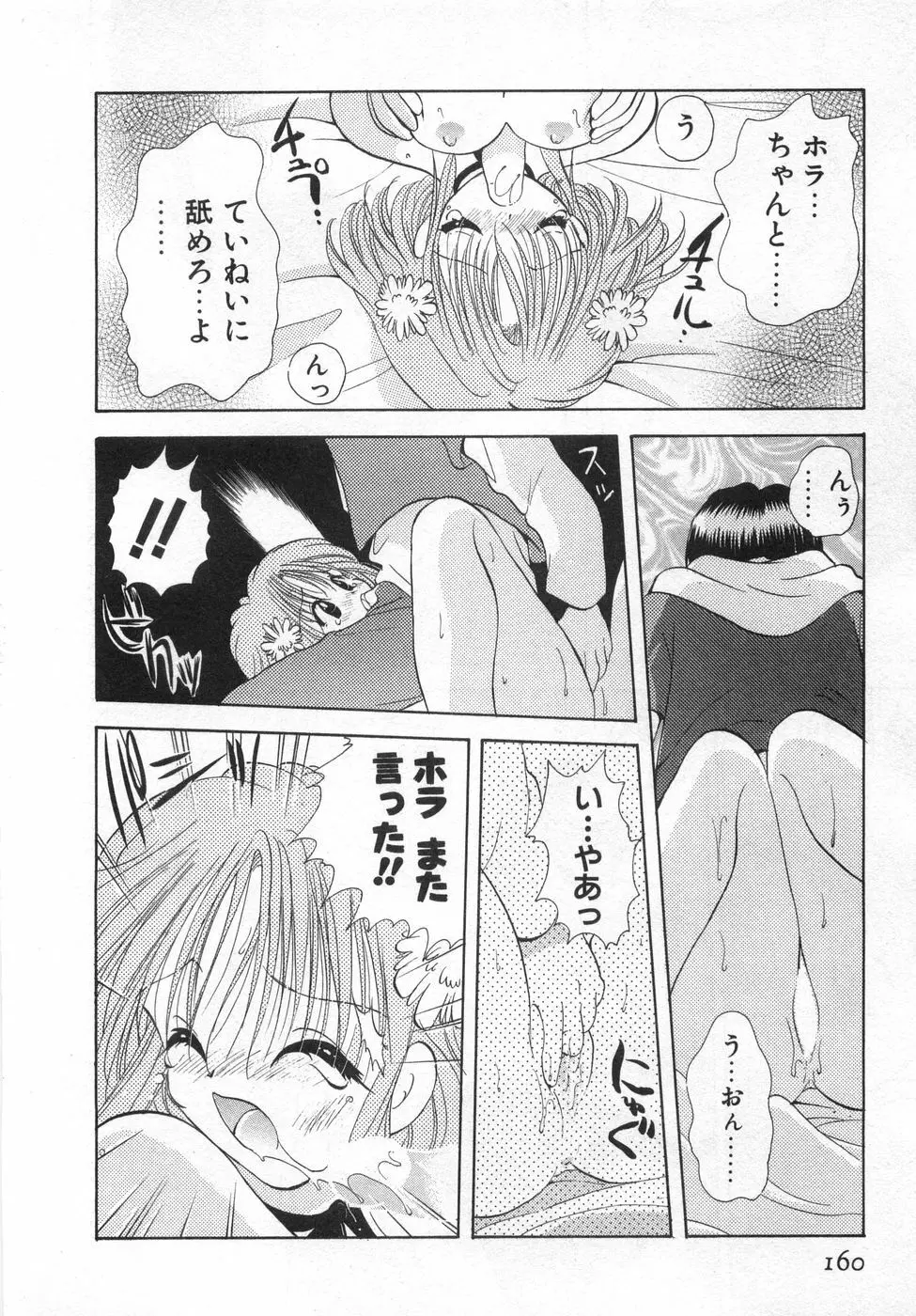 オレンジ色の花 Page.166