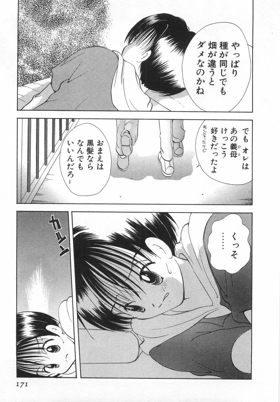 オレンジ色の花 Page.177