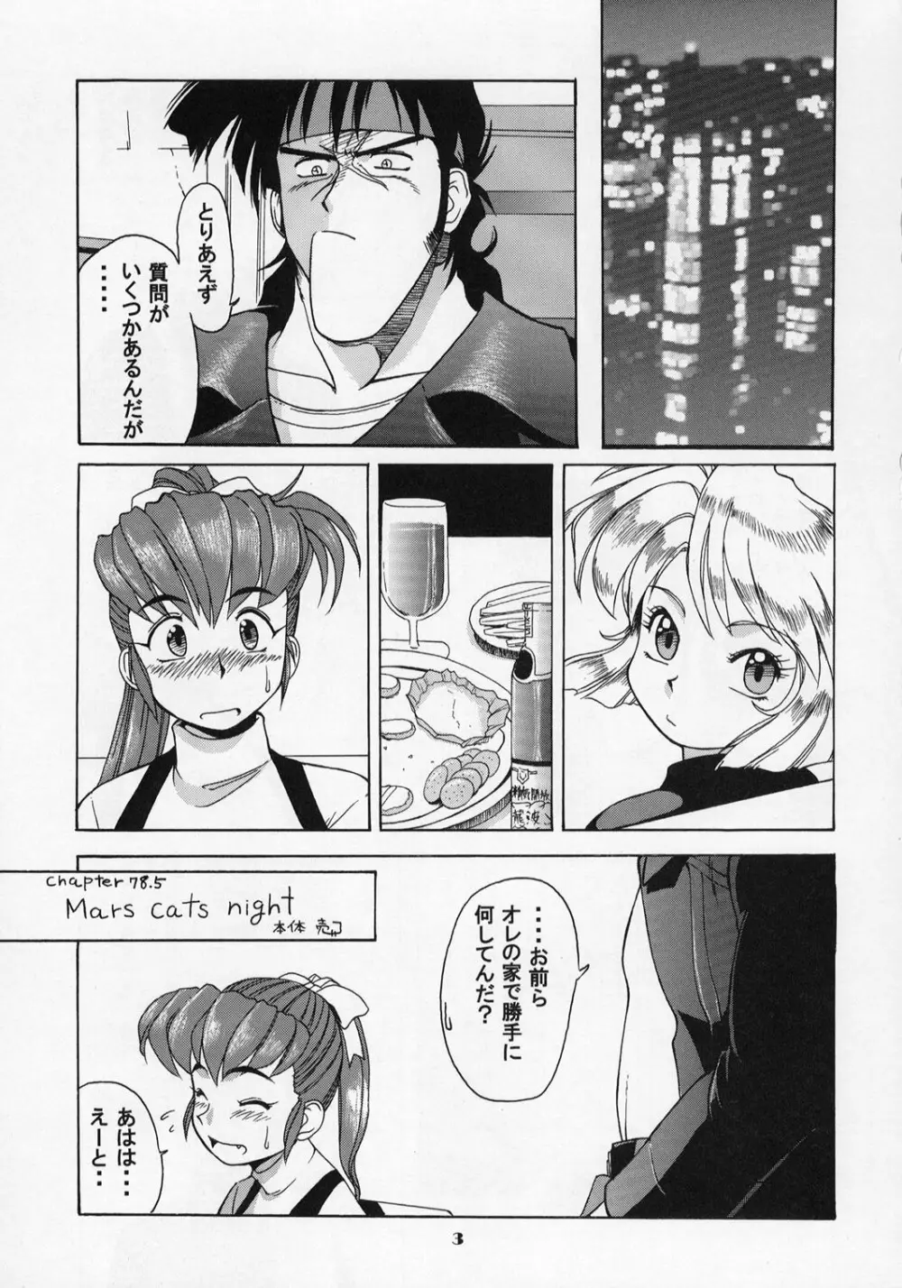 ガンスミ本 Page.2