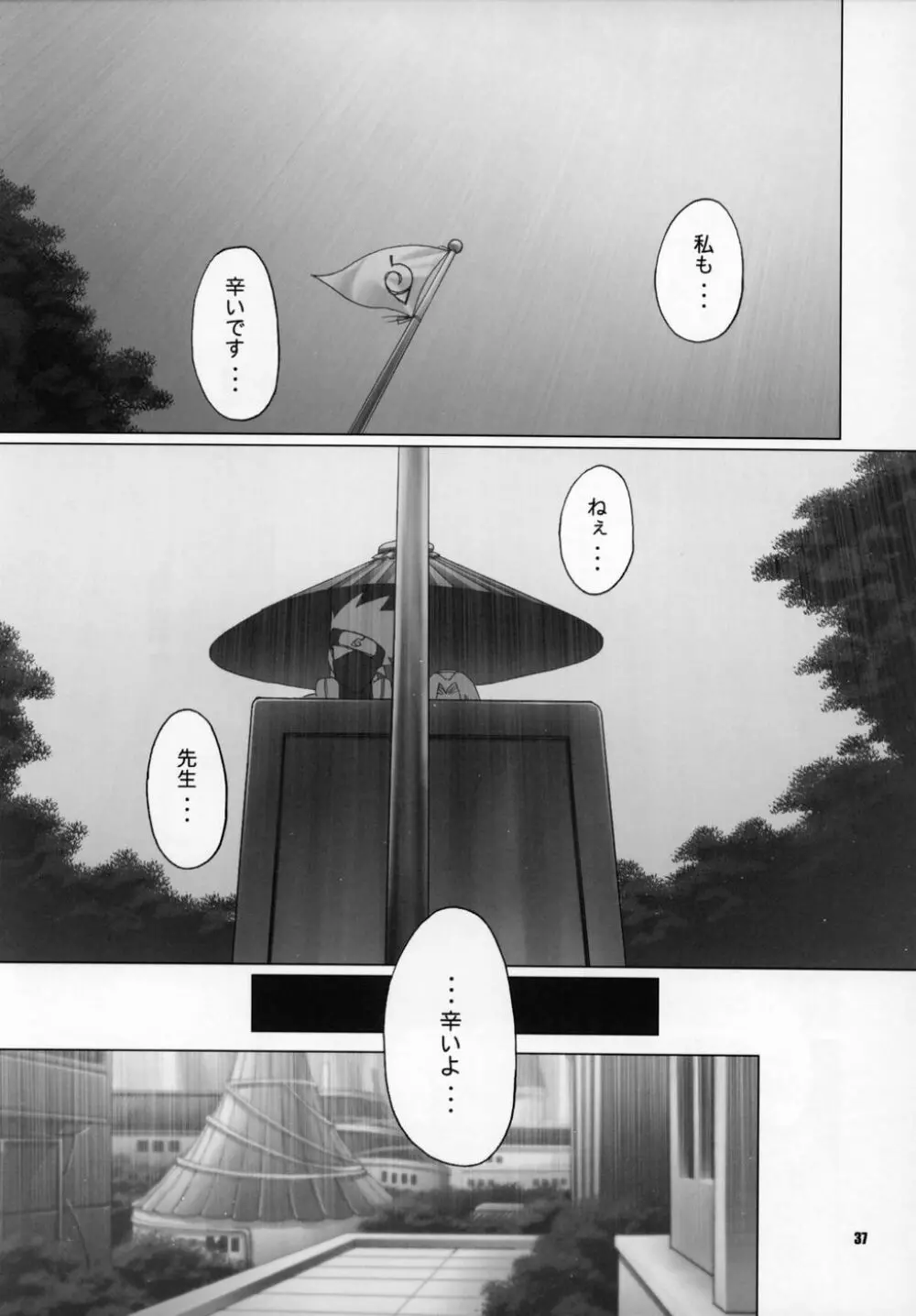 秘密 the secret Page.35