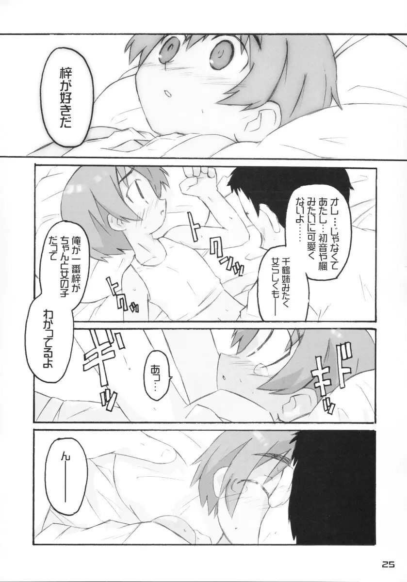 きずていぷ Page.25