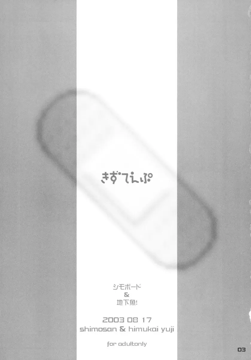 きずていぷ Page.3