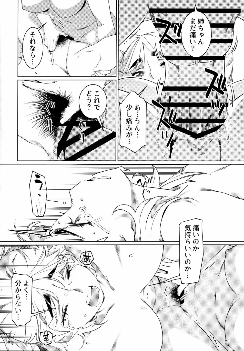 大人のおもちや20 Page.29