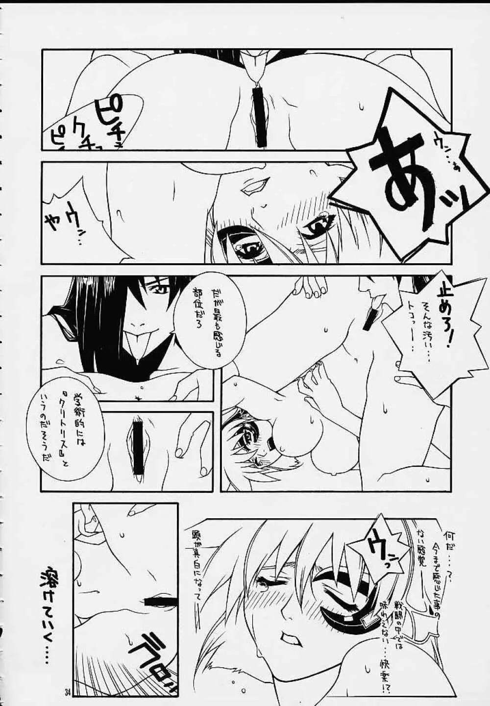 秘 Page.33