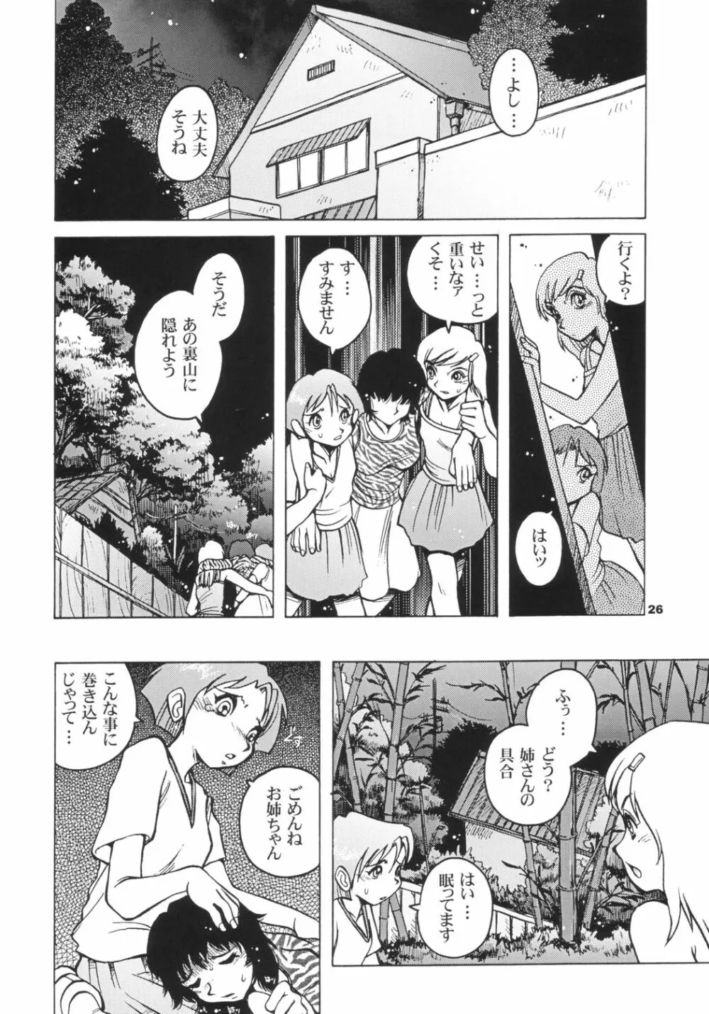 Pocket Dll Page.25