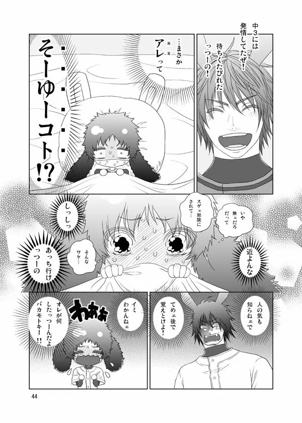 うさぎのほん Page.42