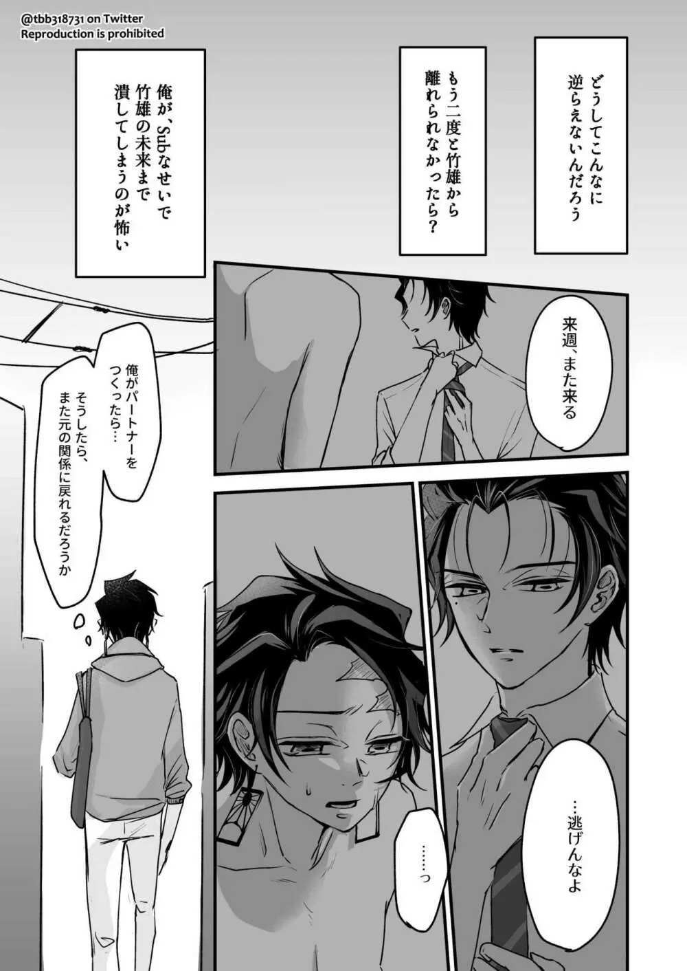 竹炭玉簾① Page.43