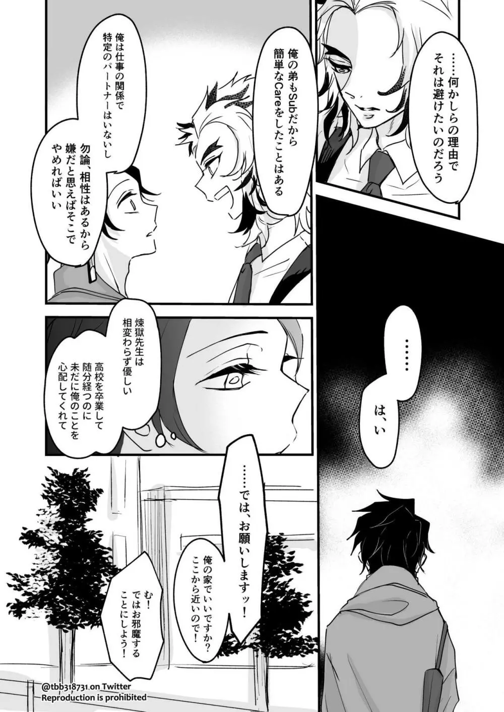 竹炭玉簾① Page.46