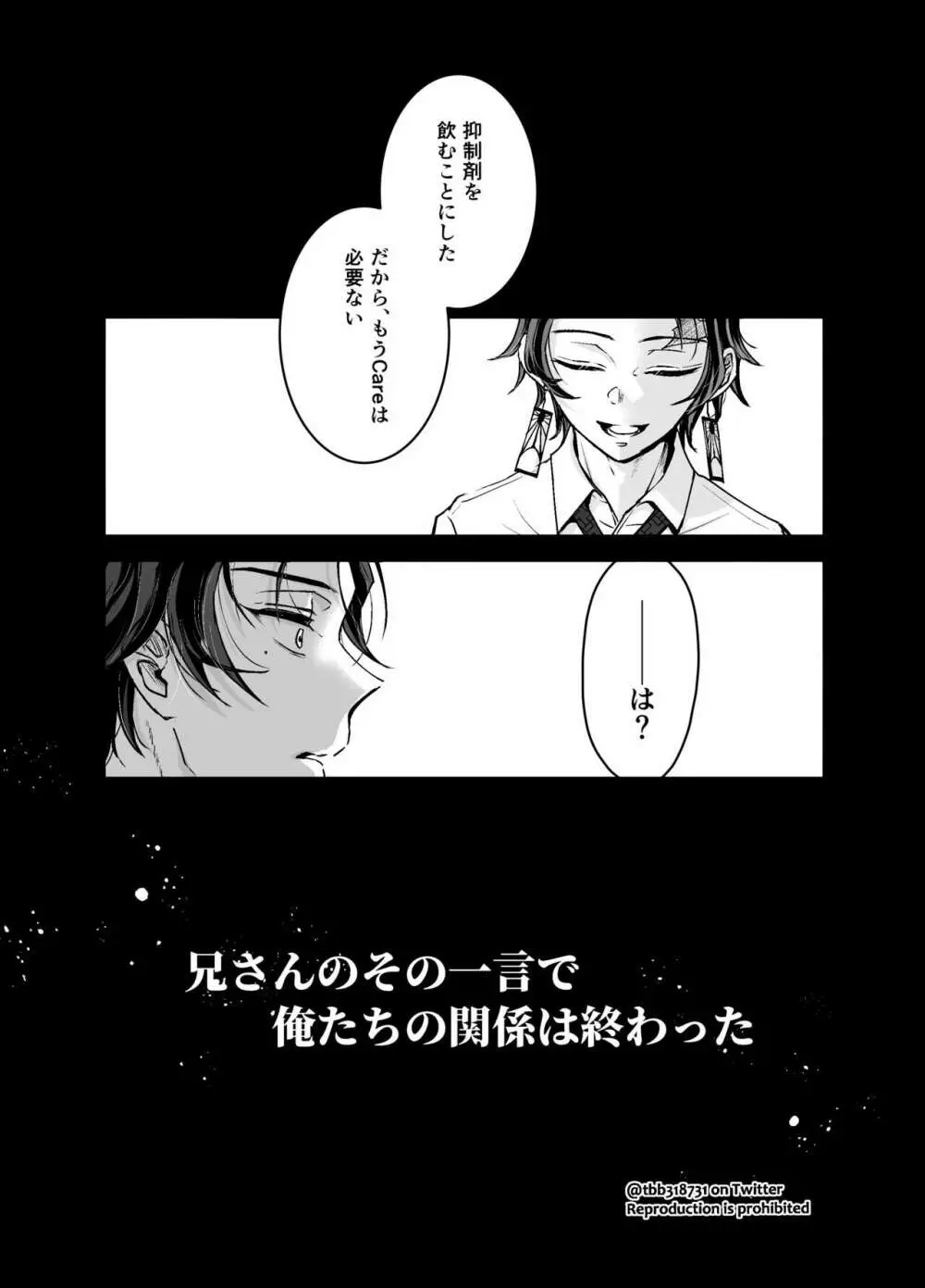 竹炭玉簾① Page.5