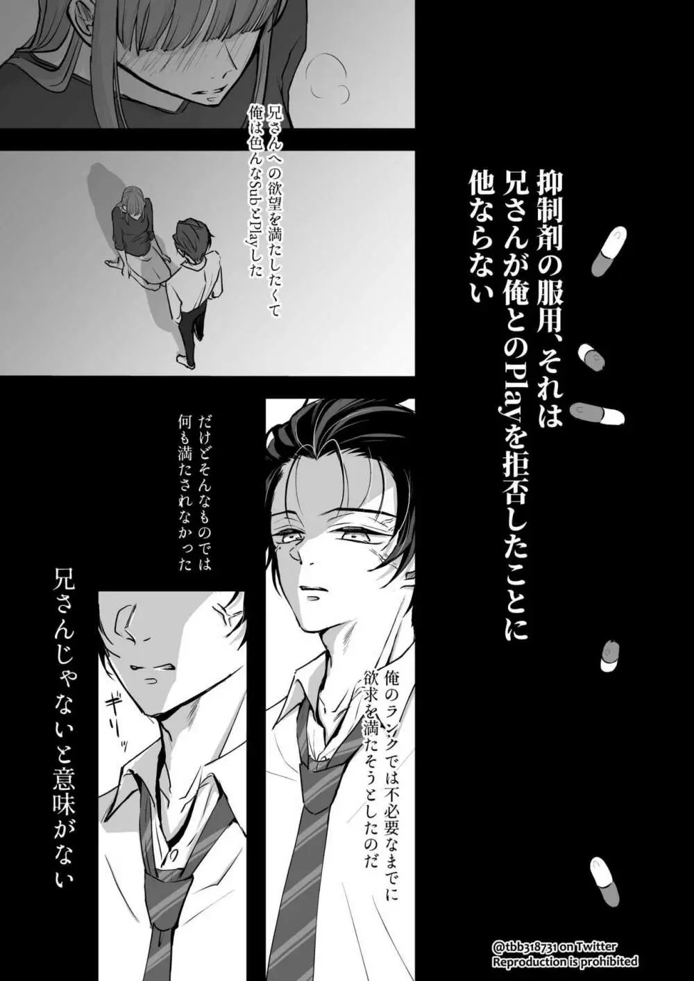 竹炭玉簾① Page.9