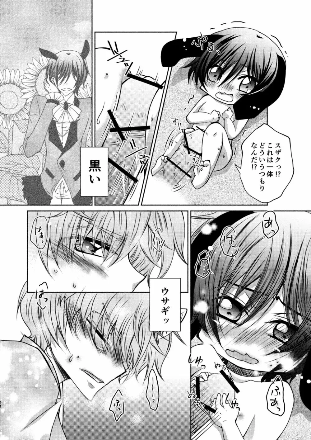 狼スザク×黒兎ルルシュ詰め Page.22