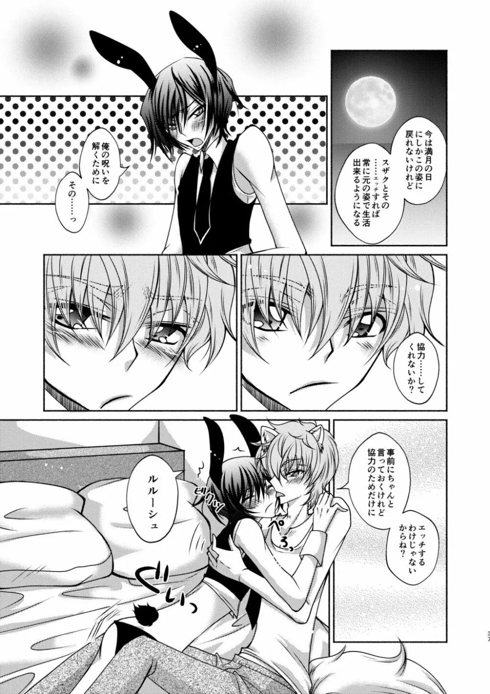 狼スザク×黒兎ルルシュ詰め Page.35