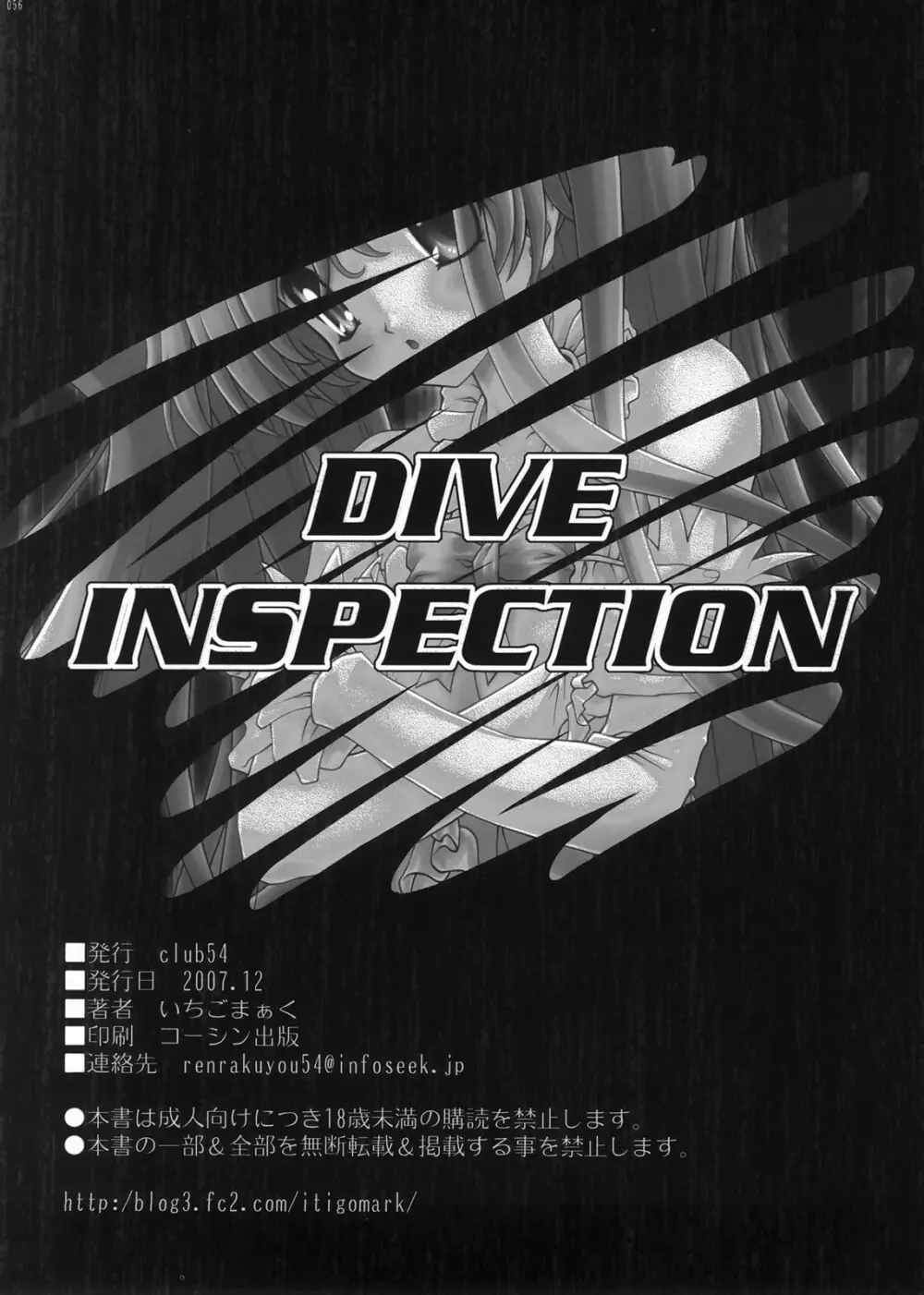 DIVE INSPECTION Page.53